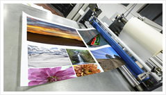 brochures, sell sheets, booklets, banners,Hallman Business Forms 519.749.0331,